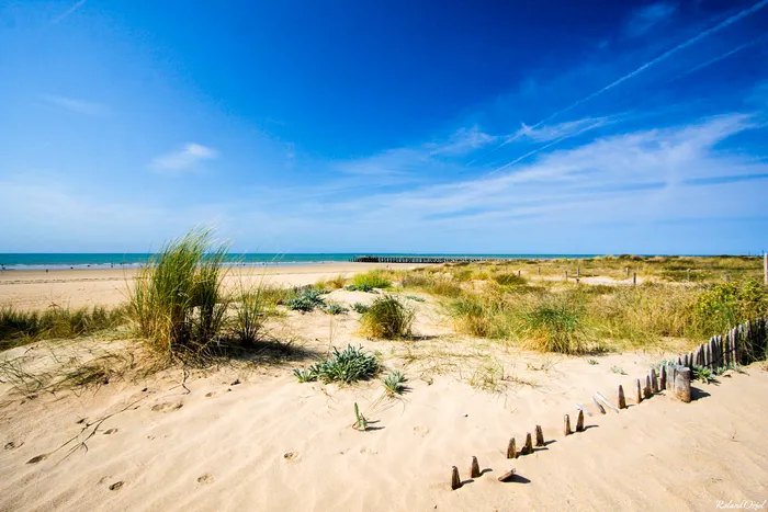 Plage paradisiaque avec ciel bleu et dunes