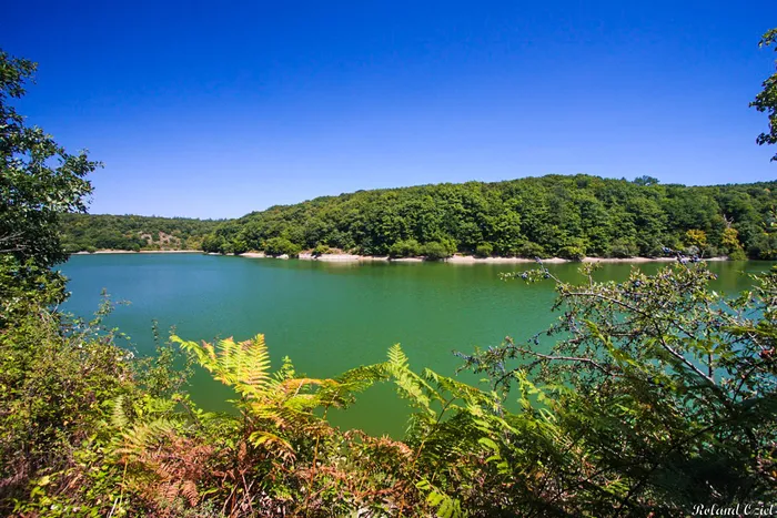 Un lac calme et paisible en Vendée, un lieu parfait pour la peche