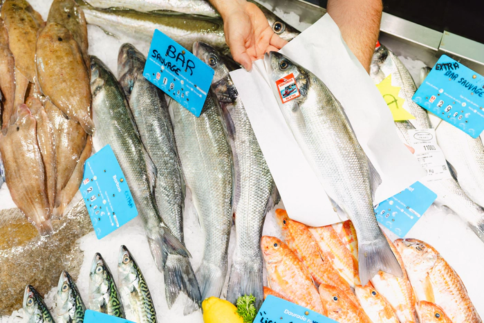 Marché au poisson de Saint-Gilles-Croix-de-Vie